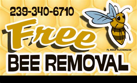 Free bee removal. Things To Know About Free bee removal. 